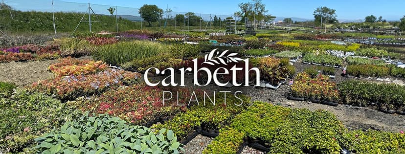 Carbeth Plants discount codes