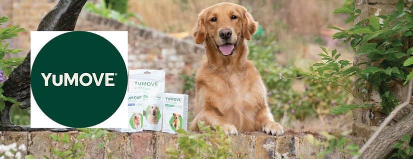 YuMOVE discount codes