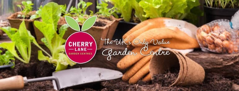 Cherry Lane voucher codes