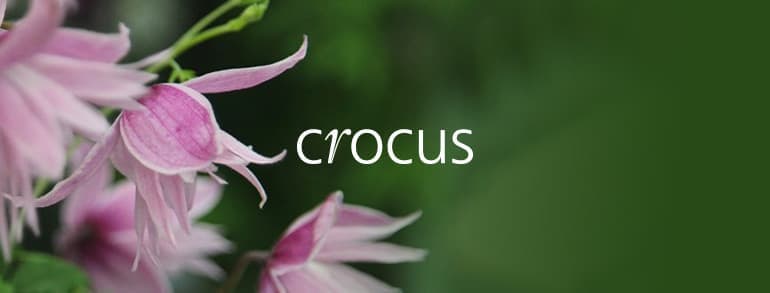 Crocus voucher codes
