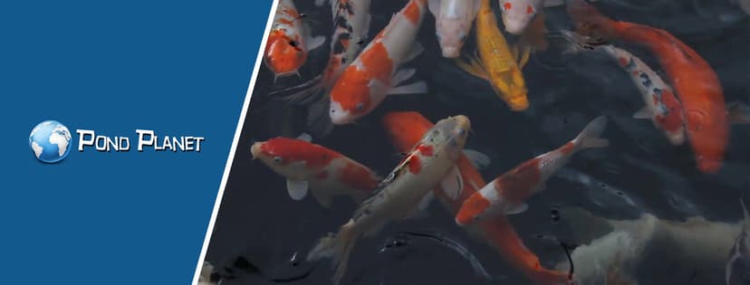 Pond Planet voucher codes